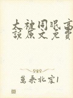 大被同眠高粱小说原文免费阅读