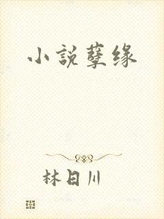 小说孽缘