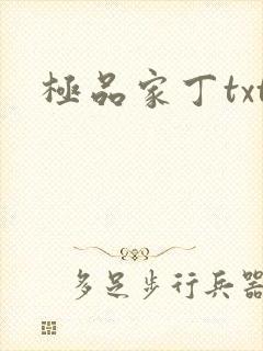 极品家丁txt