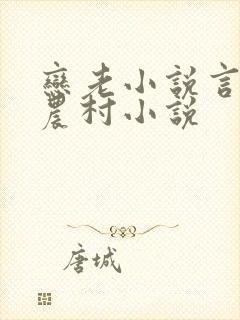 恋老小说言情网农村小说