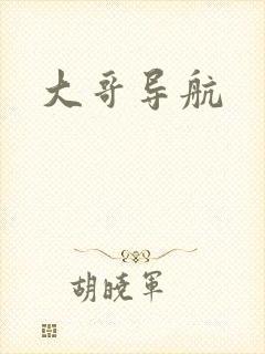 大哥导航封面