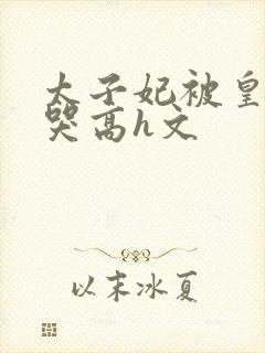 太子妃被皇上c哭高h文封面