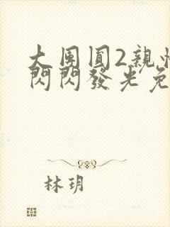 大团圆2亲情会闪闪发光免费