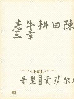 老牛耕田陈雪第三章