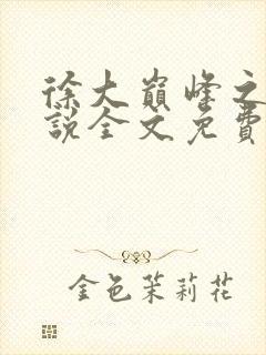 徐大巅峰之路小说全文免费阅读封面