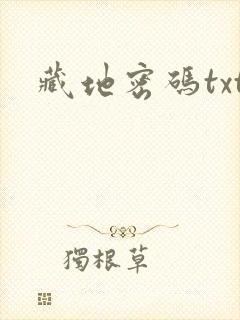 藏地密码txt封面