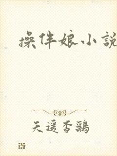 操伴娘小说封面
