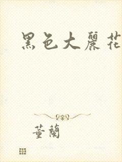 黑色大丽花图片