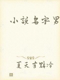 小说名字男生