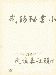 我的秘书小姐