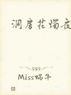 洞房花烛夜小说封面