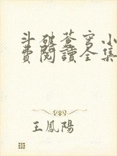 斗破苍穹小说免费阅读全集封面