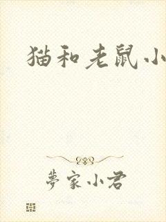 猫和老鼠小说