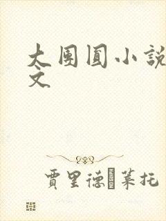 大团圆小说集全文