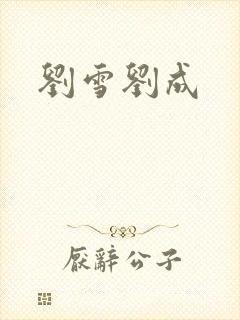 刘雪刘成封面