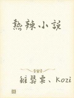 热辣小说