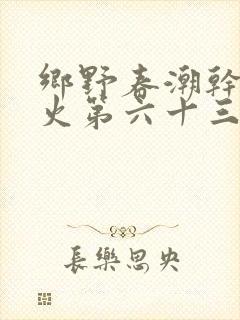 乡野春潮干柴烈火第六十三章