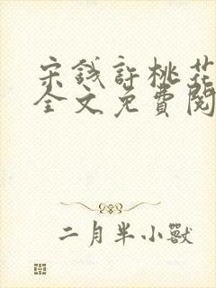 宋钱许桃花小说全文免费阅读