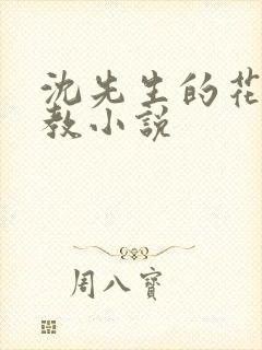 沈先生的花式管教小说