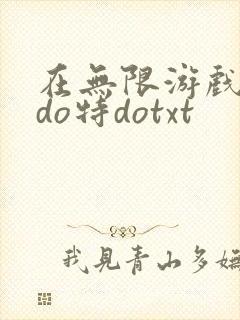 在无限游戏大里do特dotxt封面