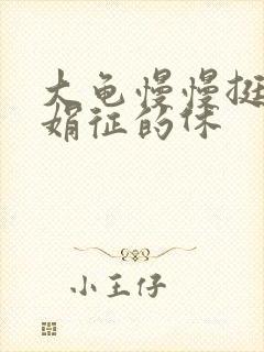 大龟慢慢挺进张娟征的休封面