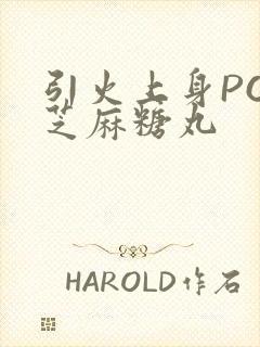 引火上身POP芝麻糖丸