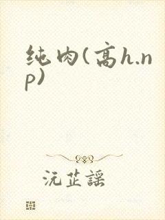 纯肉(高h.np)