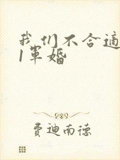我们不合适1v1军婚封面
