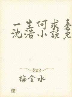 一生何求秦菲雪沈浩小说免费阅读全文笔趣阁