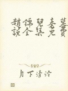 赵锦儿秦慕修小说全集免费封面