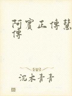 阿宾正传慧钰外传封面