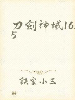 刀剑神域16.5
