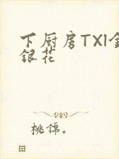 下厨房TXl金银花