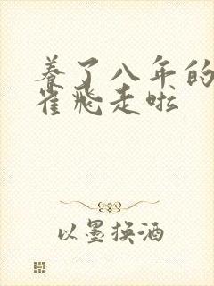 养了八年的金丝雀飞走啦