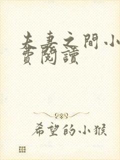 夫妻之间小说免费阅读