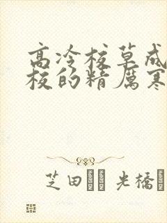 高冷校草成为全校的精厉寒小说封面
