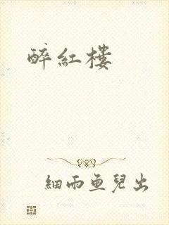 醉红楼