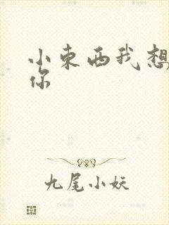 小东西我想弄坏你