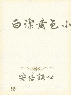 白洁黄色小说