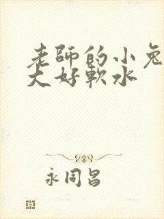老师的小兔子好大好软水