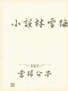 小说林雪梅封面