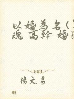 以婚为名 (军魂 高干 婚恋)