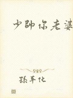 少帅你老婆