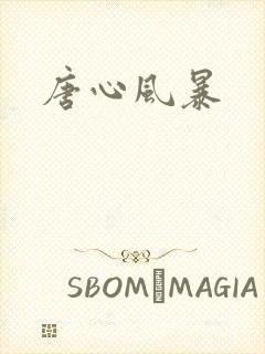 唐心风暴