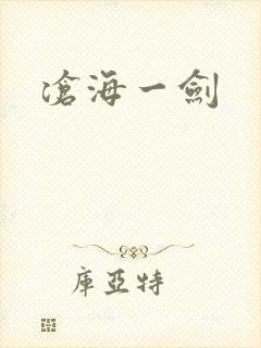 沧海一剑封面