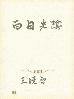 白日光阴封面