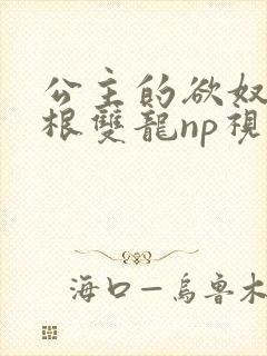 公主的欲奴h四根双龙np视频