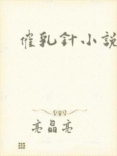 催乳针小说