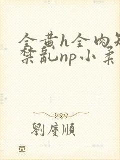 全黄h全肉短篇禁乱np小柔封面