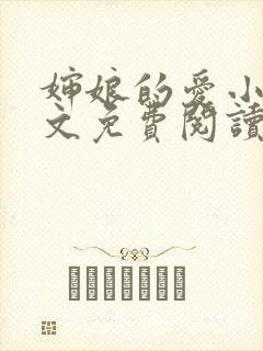 婶娘的爱小说全文免费阅读